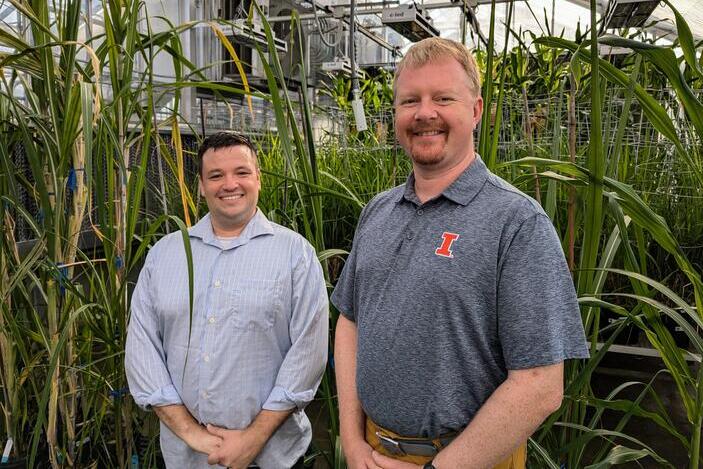 Andrew Leakey, right, and Daniel Lunn. Credit: Julie Wurth/CABBI Two men stand in front of large plants in a greenhouse